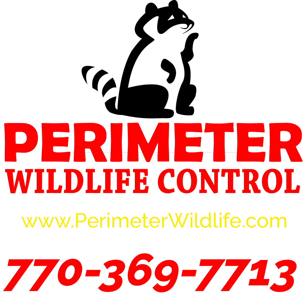 Perimeter Wildlife